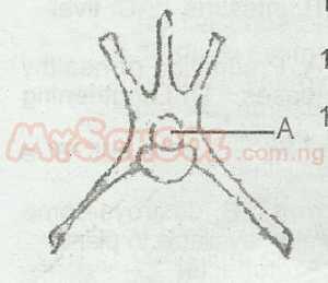 Question image